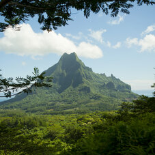 Moorea entroterra