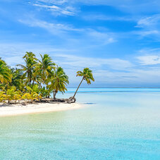 Aitutaki – links weißer Strand mit Palmen, rechts das türkisfarbene Meer