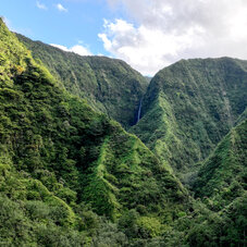 Montagnes majestueuses de la forêt de Mataiea- AOA Polynesian Forests