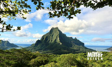 Die Insel Moorea, in der Mitte ist ein großer, grüner Berg, darum grüne Vegetation