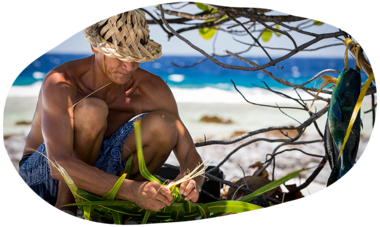 atn-illust-shape-_0014_benthouard_tagra_fakarava_ato_27f.png