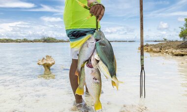Poisson frais Pêcheur revenant de la pêche avec du poisson frais